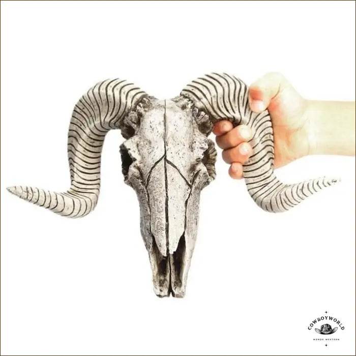 Crâne De Bélier En Résine - Cowboy World