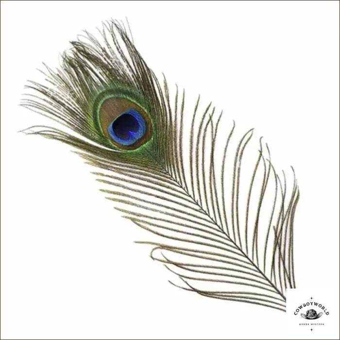 Plumes Pour Chapeau - Cowboy World