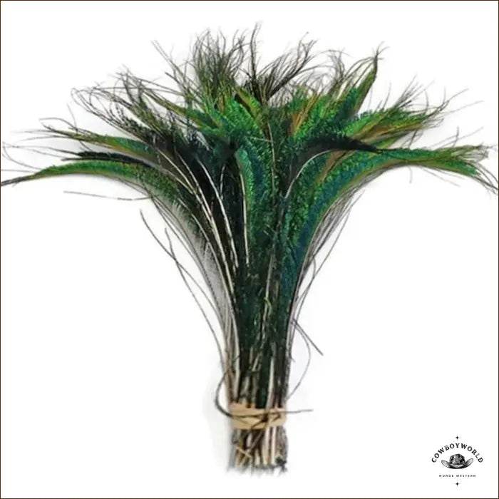 Plumes Pour Chapeau - Cowboy World