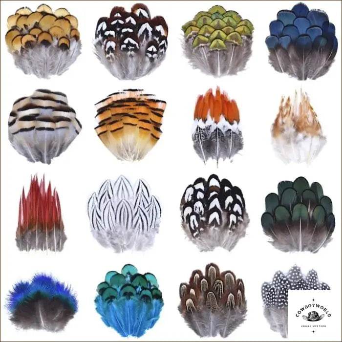 Plumes Pour Chapeau - Cowboy World