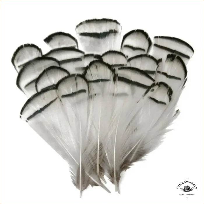 Plumes Pour Chapeau - Cowboy World