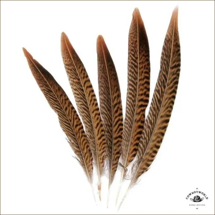Plumes Pour Chapeau - Cowboy World