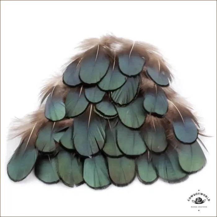 Plumes Pour Chapeau - Cowboy World