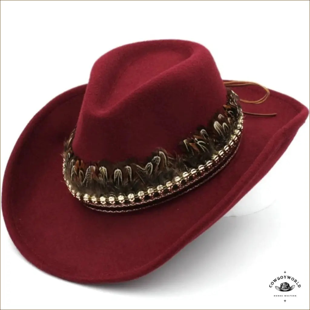 Chapeau Country Avec Plumes